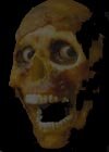 another skull