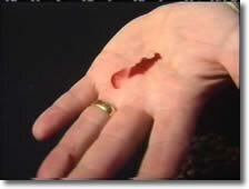 Stigmata programme